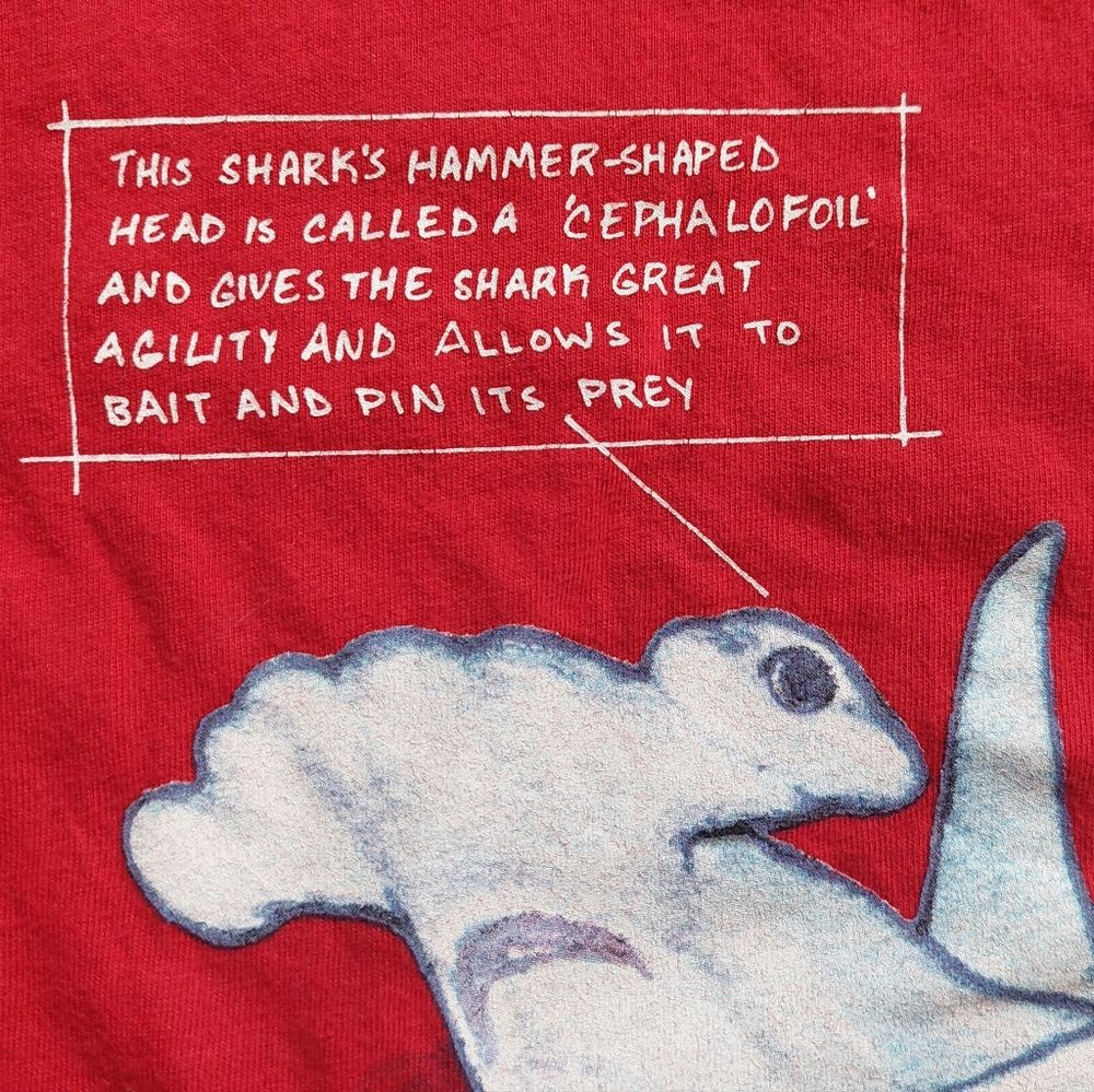 Land's End euc/ln Size 14-16 tees - Picture 7 of 15